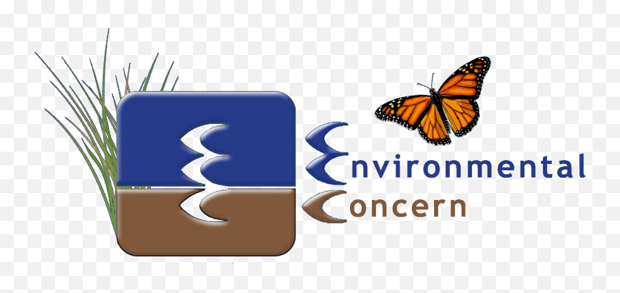 Environmental Concern Logo - Monarch Businesses For The Bay Monarch Butterfly Png,Monarch Butterfly Icon