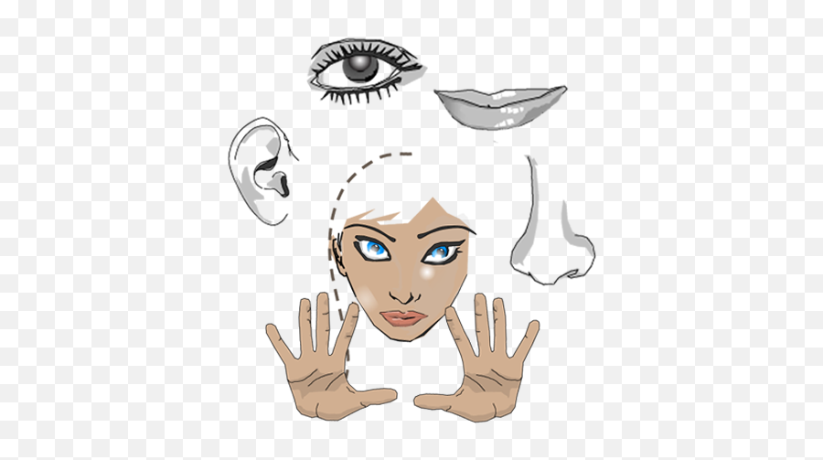 Senses - For Women Png,5 Senses Icon