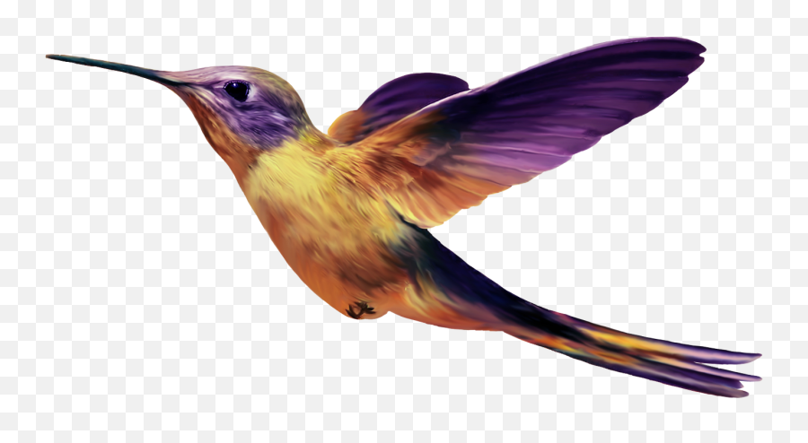 Birds Transparent Png File - Purple And Yellow Hummingbird,Bard Png
