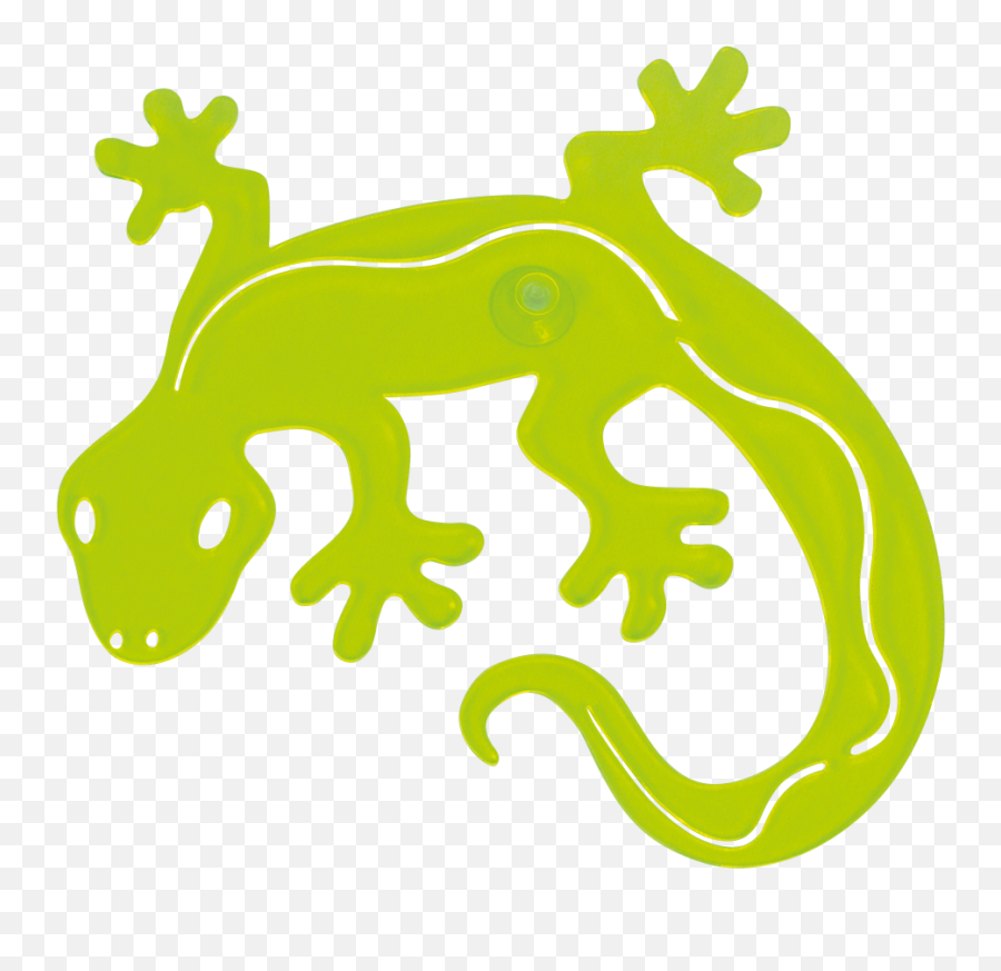 Download Hd Sun Dancer - Gecko Green Gecko Transparent Png Gecko,Gecko Png