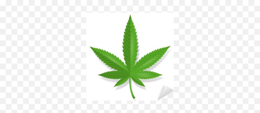 Sticker Cannabis Leaf Icon - Pixershk Little Book Of Weed Png,Mlg Icon