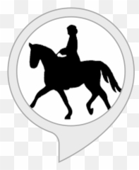 Amazoncom Pony Games Alexa Skills - Wootton Patriots Logo png