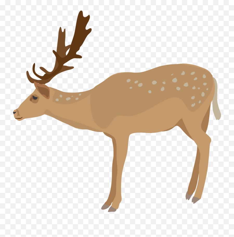 Realistic Reindeer Clipart - Transparent Background Deer Clipart Png,Reindeer Clipart Png