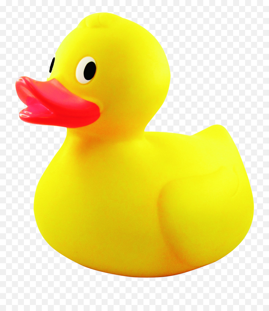 Free Rubber Chicken Png Download - Yellow Rubber Duck Png,Rubber Chicken Png