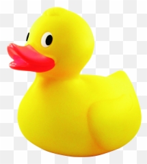 Free Rubber Chicken Png Download - Yellow Rubber Duck Png,Rubber Chicken Png