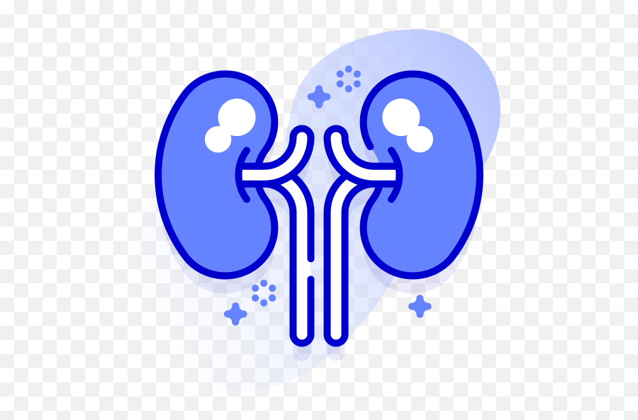 Kidney - Free Healthcare And Medical Icons Icon Png,Kidney Icon