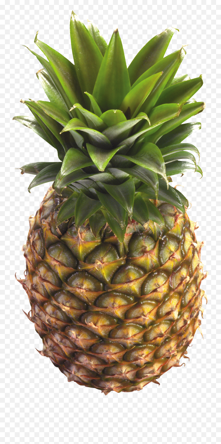 Pineapple Png Images Free Pictures Download - Pineapple With No Background,Pinapple Png