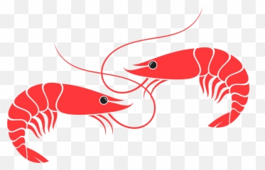 Shrimp Fest Tickets - Vannamei Shrimp Vector Clipart Full Cute Shrimp Svg Png,Shrimp Png