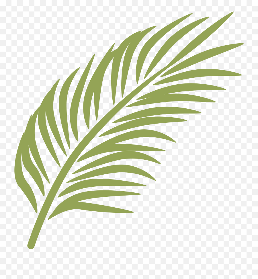 Download Palm Frond Png - Palm Leaves Clip Art Png Full Palm Sunday Clip Art,Palm Leaves Transparent