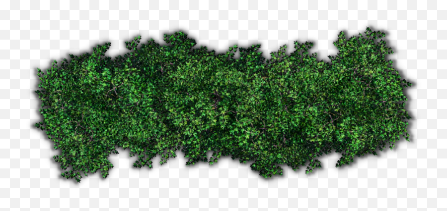 Soil Side View Transparent Png - Shrub Top View Png,Grass Top View Png