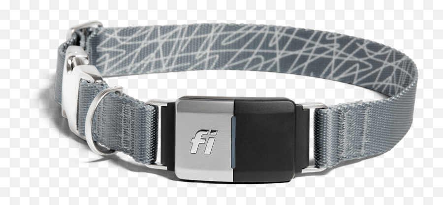 Fi Smart Dog Collar Store - Fi Dog Collar Gps Png,Collar Png