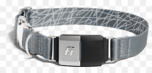 Fi Smart Dog Collar Store - Fi Dog Collar Gps Png,Collar Png