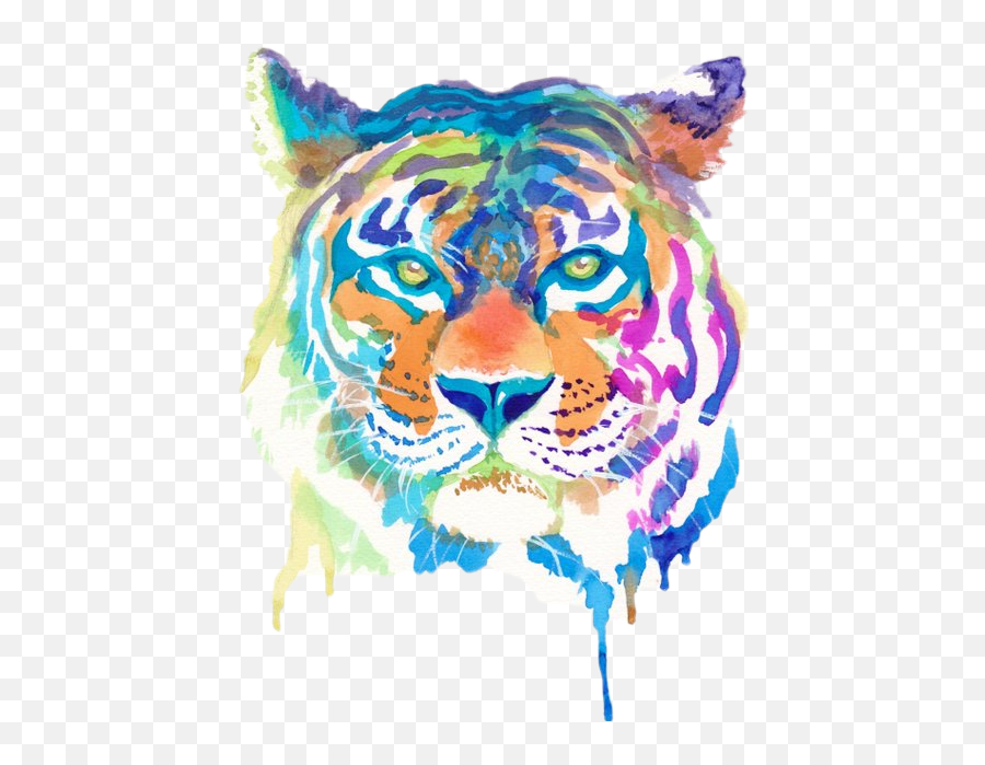 Tiger Stripes - Things To Draw With Watercolour Png Colourful Tiger Painting,Tiger Stripes Png