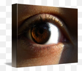 Dark Brown Eyes Png