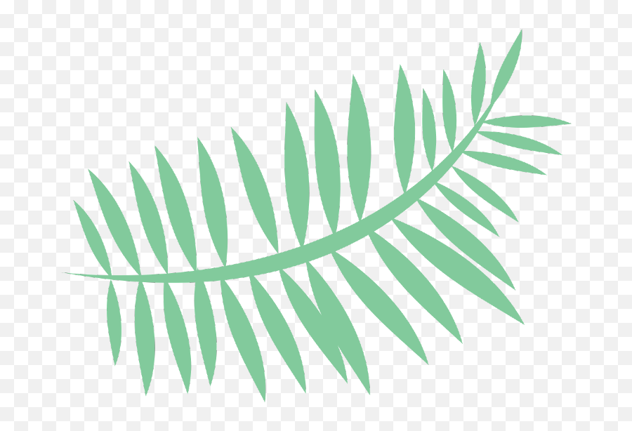 Leaf Tropical Summer Palm Palmleaf Cartoon Freetoedit - Palm Leaf Cartoon Transparent Png,Leaf Cartoon Png