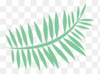 Leaf Tropical Summer Palm Palmleaf Cartoon Freetoedit - Palm Leaf Cartoon Transparent png