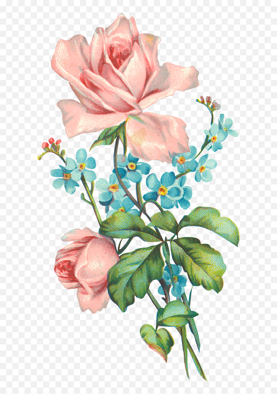 Search Projects Photos Videos Logos Illustrations And - Old Rose Flower Png,Vintage Png