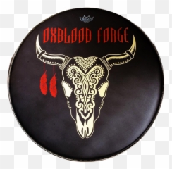 Custom Drum Heads U2014 Mb Graphics U0026 Beagle Printing - Drum Png Untuk Real Drum,Drum Png
