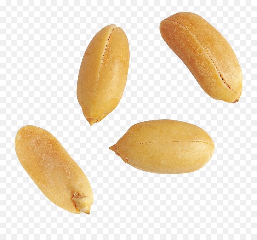Peanut Png - Peanut Png,Peanut Png