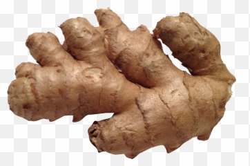 Ginger Png Image For Free Download - Ginger Png,Ginger Png