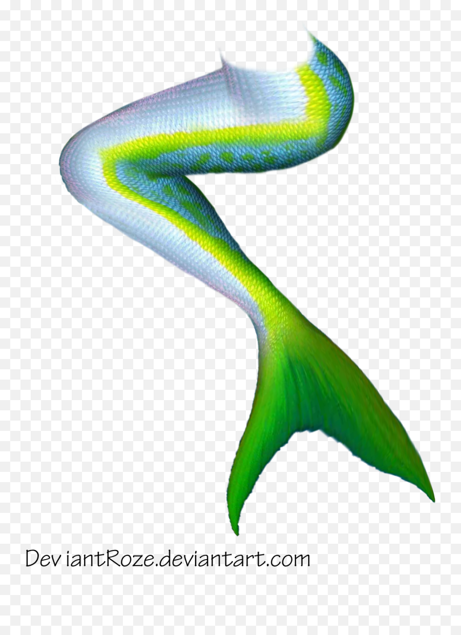 Download Google Search Fin Shape Png Mermaid Tail Transparent Background