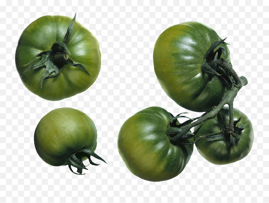 Download Tomato Png Image With Transparent - Tomatillo,Tomato Transparent Background