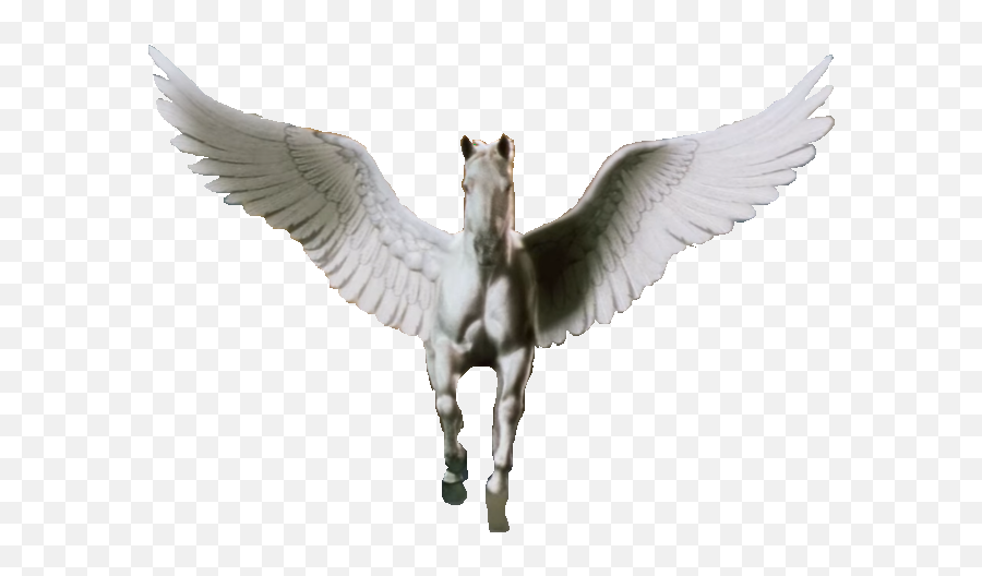Pegasus Transparent - Pegasus Tristar Pictures Logo Png,Pegasus Png