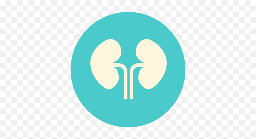 Transparent Png Svg Vector File - Quiknode Logo,Kidney Png