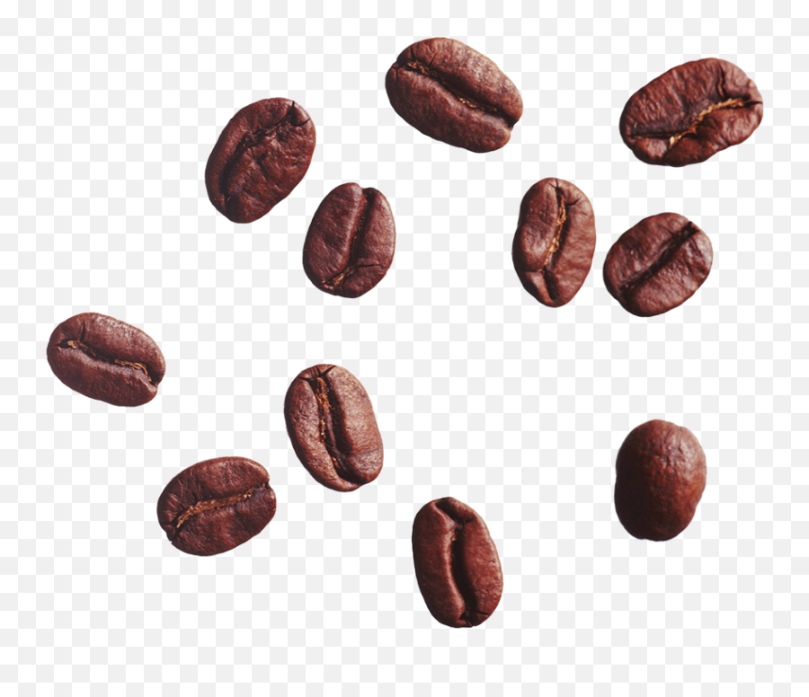 Download Coffee Bean Cafe Clip Art - Coffee Bean Png,Beans Transparent