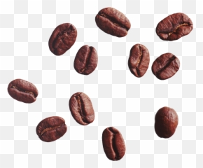 Download Coffee Bean Cafe Clip Art - Png