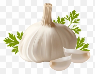 Garlic Png Transparent Free Images - Transparent Background Garlic Png,Garlic Png