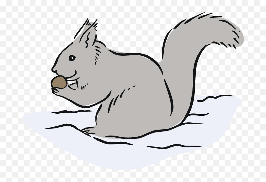 Cartoon Of Squirrel Eating Acorns - Eastern Gray Squirrel Clipart Png,Squirrel Clipart Png