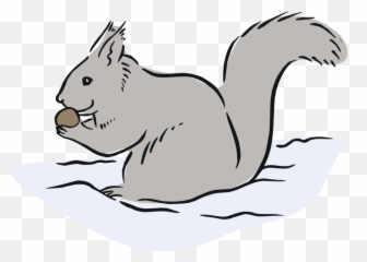 Cartoon Of Squirrel Eating Acorns - Eastern Gray Squirrel Clipart Png,Squirrel Clipart Png
