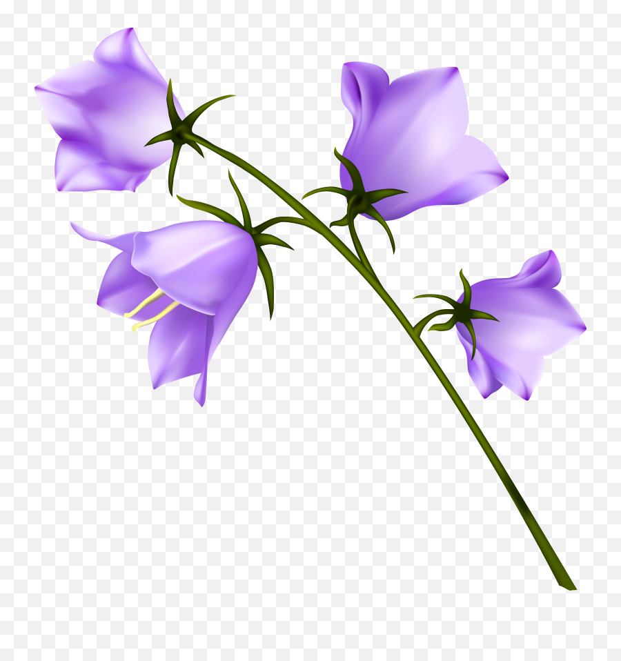 Download Spring Flowers Png Image With No Background Flower