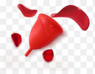 Rose - Petals Sileu Cup Menstrual Cup And Accessories Lovely Png,Rose Petals Transparent