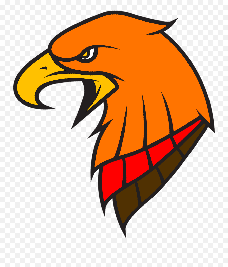 Download Hd Phoenix Volleyball Club Moose Jaw - Phoenix Bird Head Png,Phoenix Suns Logo Png