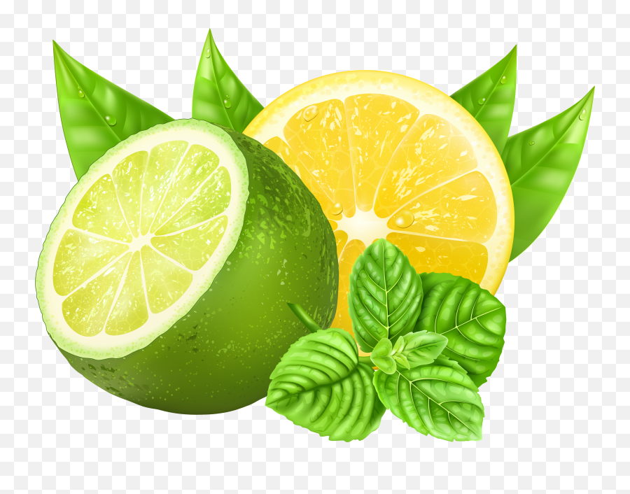 Lime Clipart Lemon Blossom B 1263504 - Png Lime And Lemon Png,Lemon Clipart Png