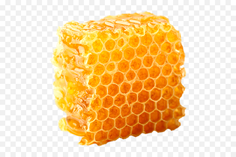 Honey Comb Png Free - Honeycomb Transparent,Honey Transparent