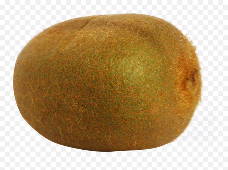 Download Kiwi Fruit Png File 259 - Kiwifruit,Orange Fruit Png