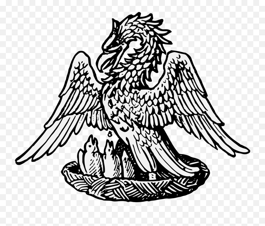 21 Pelican Clipart Heraldic Free Clip Art Stock Png 21 Pelican Clipart Heraldic Free Clip Art Stock Png
