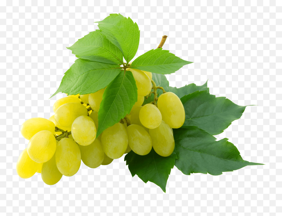 Raisin Blanc Png Transparents - Stickpng White Grape Png,Raisin Png