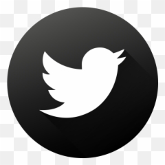 Png Format Twitter Logo White Circle White Twitter Logo Png Free Transparent Png Images Pngaaa Com