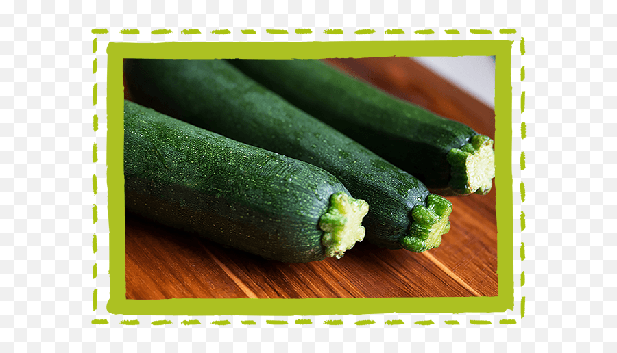 Fresh Point Crunchy Vegetables Zucchini U2013 - Plant Baby Marrows Png,Zucchini Png