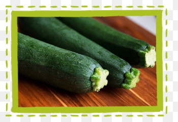 Fresh Point Crunchy Vegetables Zucchini U2013 - Plant Baby Marrows Png,Zucchini Png