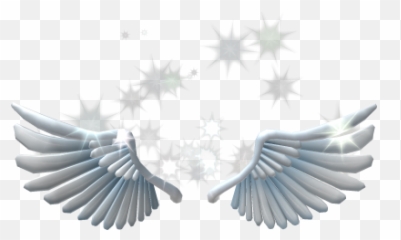 Free Transparent Angel Wings Png Transparent Images Page 1 Pngaaa Com - purple pink wings roblox