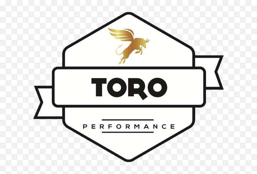 Toro Performance - Free Logo Mockup Sea Png,Toro Png