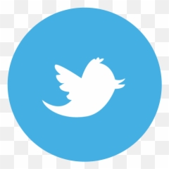 Twitter Logo Png Circle 2 Image - Personal And Social Capability