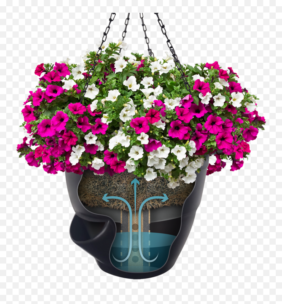 Commercial Self Watering Planter Systems Earthplanter - Self Watering Hanging Plant Pots Png,Hanging Plants Png