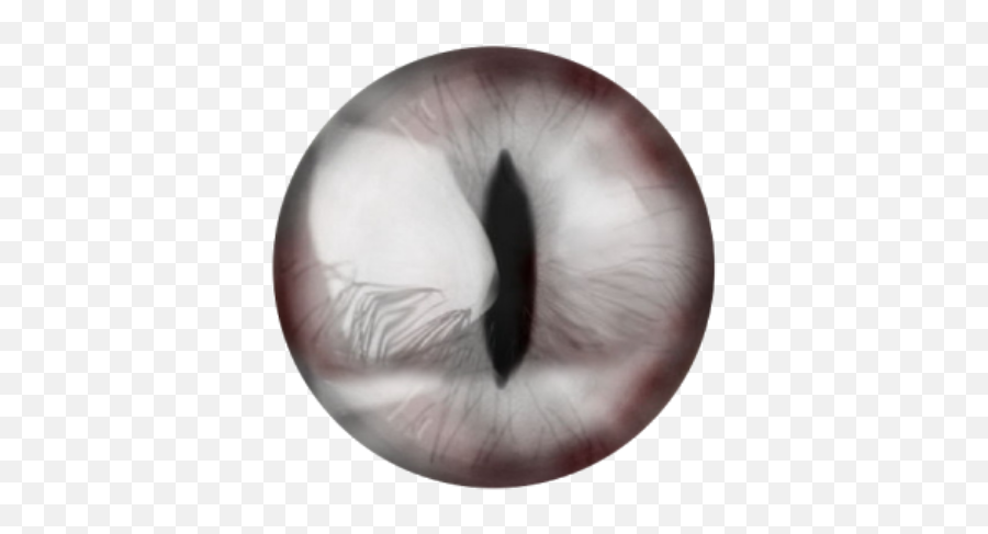 Download Vampire Lens Eyes Terror Halloween Silver - Transparent White Eye Lens Png,Eyes Png