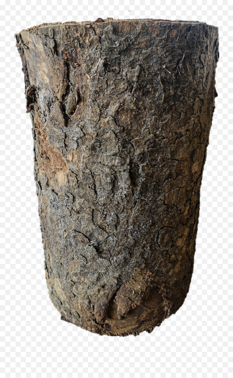 Tree Stump - African Mahogany U2013 Wood Yard Png,African Tree Png